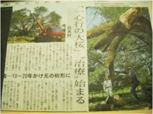 2004年台風被害　熊本日日新聞