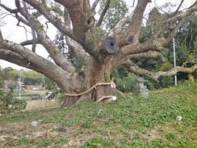 平成30年2月6日(写真-1)