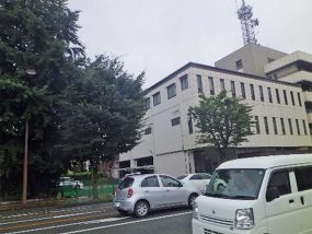 ケヤキ街路樹　 左正常　右罹病木