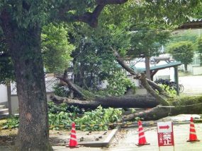 県立熊本高校　2018年6月