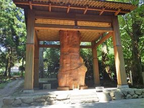 国造神社「手野の大杉」　幹保存
